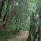 Flame of the Forest by Levitate - Luxury Two-Bedroom Chalet with Balcony Top Valley View & Fully Equipped Kitchen