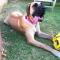 Roundhouse Guesthouse - Franschhoek