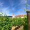 Hotel Munsch, Colmar Nord - Haut-Koenigsbourg photo 14