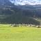 Disentis - Disentis