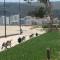 Lomas 3 Bosque y Playa