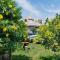Palomino Breeze Hostal