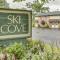 Ski Cove #2