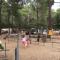 Camping la Simioune en Provence
