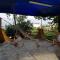 Guest House Lazika