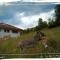 AGRITURISMO MASO PERTENER -adults only-