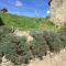 Gite a la campagne - Sardent