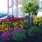Claymore Inn and Suites