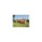 Holiday Home Strandparken In Dnmk