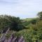 Boscastle House
