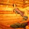 Alpenchalets Weissenbacher - Тамсвеґ
