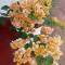 Bentota Orchid House