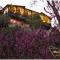 Altai Oasis Lodge