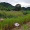 Jukheon Traditional House - Andong