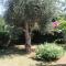 Casa Vacanze Turchese