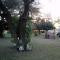 Camp Hogo Kavango - Rundu