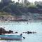 Mythical Sands Resort - Antonios