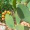 Can Pina - Eco Cascada -