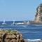 Brenton Bushbuck Lookout - 滨海布伦顿