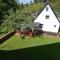 Holiday home with garden in Hellenthal Eifel - Hellenthal