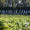Domaine de Cabasse photo 20