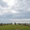 Ystad Holiday Houses