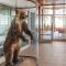 Hotel Jezero - Plitvice Lakes National Park