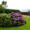 Cill Bhreac House B&B - Dingle