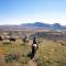 Terlingua Ranch Lodge