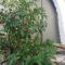 Loris traditional house