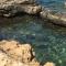Abedules - El Campello
