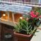 No12 Boutique Hotel