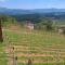 Vineyard Cottage Lustek
