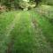 caravan nestled away amongst trees on edge of farm yard - Bala