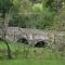 caravan nestled away amongst trees on edge of farm yard - Bala