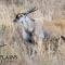 Nambiti Plains Lodge - Wildreservat Nambiti
