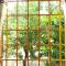 Ngoc Sang Guesthouse