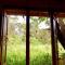 Seasons Four Eco Friendly Treehouse