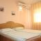 Pension Andronic
