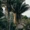 Bocawina Rainforest Resort