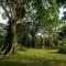 Bocawina Rainforest Resort