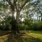 Bocawina Rainforest Resort