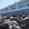 The Cormorant House