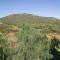 Quinta da Esteva