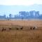 Mlilwane Game Sanctuary - Lobamba