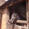 Church Farm Accommodation
