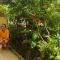 Shirleys homestay