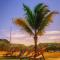Sol de Playa