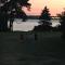 Bell Tent Glamping at Royal Victoria Country Park