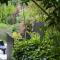 Jardin de Belle Vue photo 20